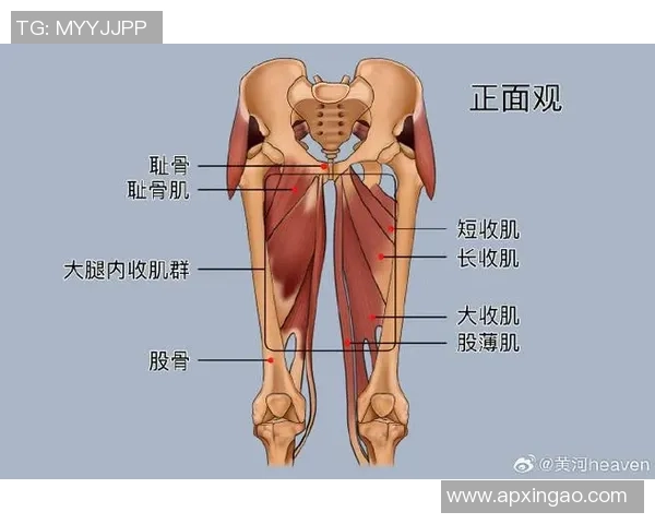 女子足球膝盖受伤的原因与预防措施探讨及康复训练的重要性分析